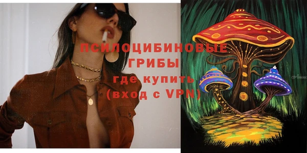 эйфоретик Вязьма